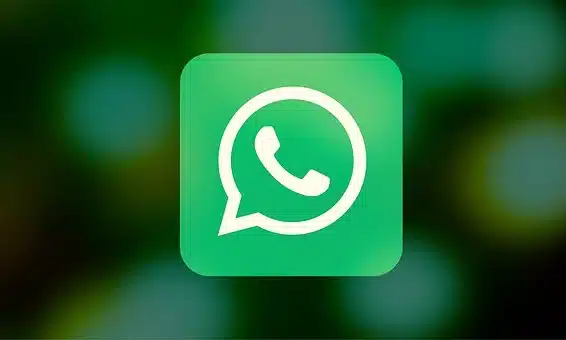 Set Up Whatsapp For Business