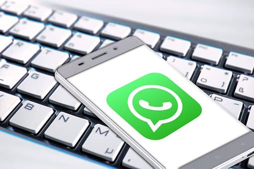 WhatsApp Business Multiple Users