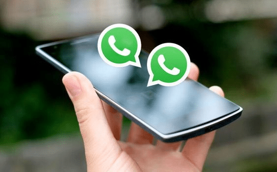 Refresh WhatsApp Contacts