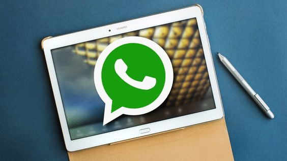 Format WhatsApp Messages